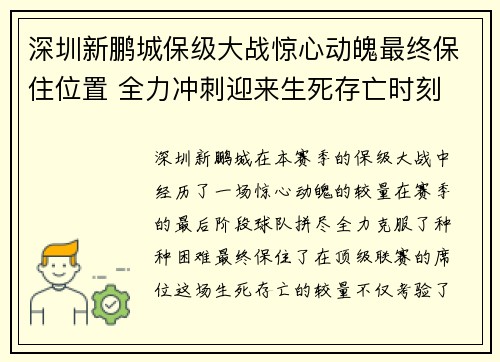 深圳新鹏城保级大战惊心动魄最终保住位置 全力冲刺迎来生死存亡时刻